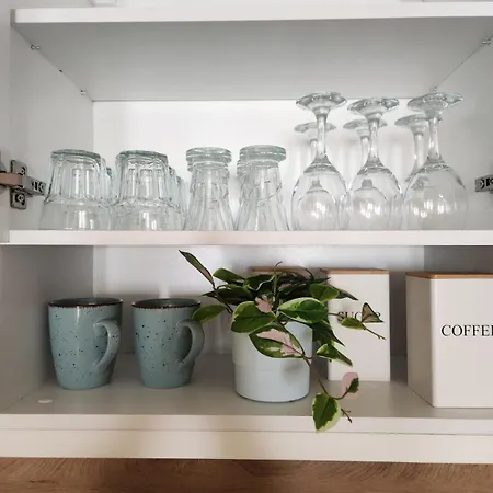 Cozy Spacious In * Warna