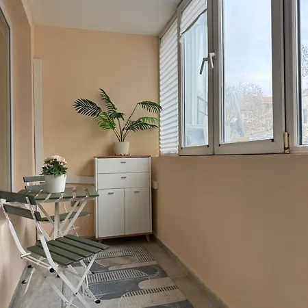 Apartment Cozy Spacious In