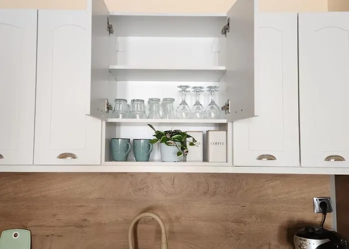 Cozy Spacious In 公寓