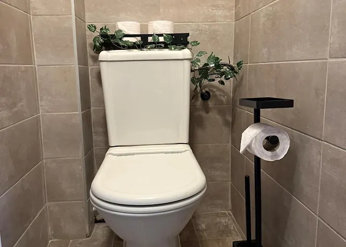 Apartment Cozy Spacious In