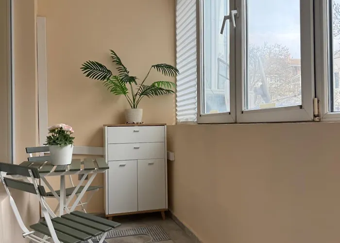 Apartment Cozy Spacious In